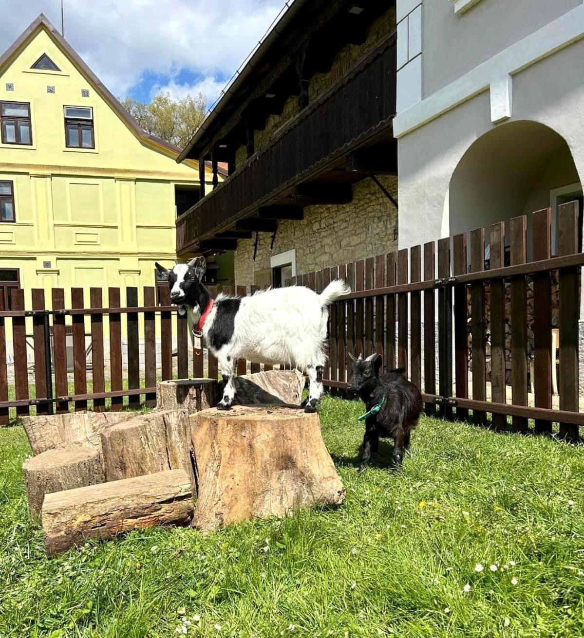 Pivovar Mlýn Štětí Exteriér fotografie